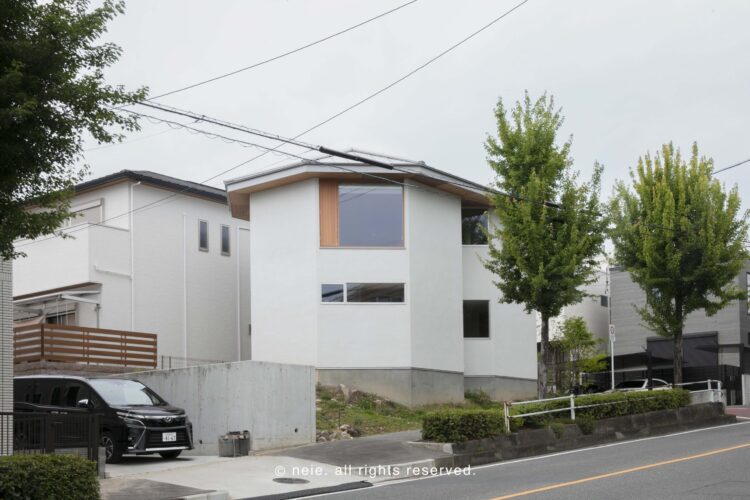 景観に溶け込む多面体の家